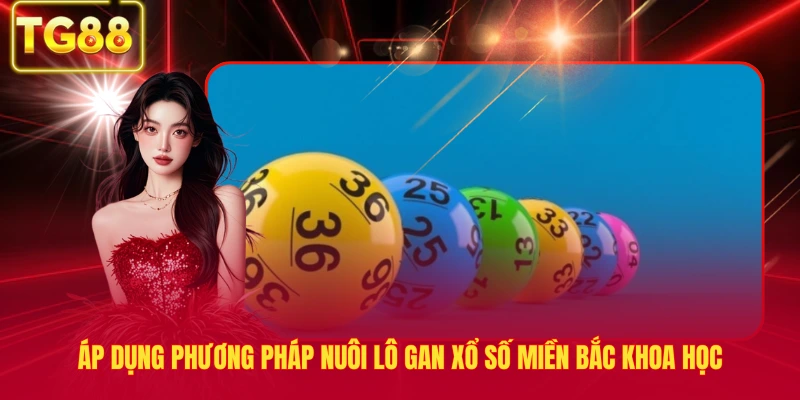 Áp dụng phương pháp nuôi lô gan xổ số miền bắc khoa học