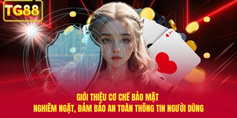Giới thiệu cơ chế bảo mật nghiêm ngặt, đảm bảo an toàn thông tin người dùng