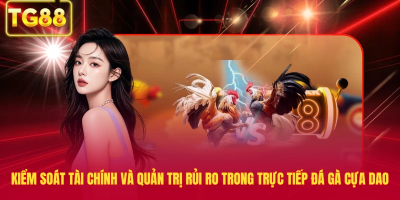 Kiểm soát tài chính và quản trị rủi ro trong trực tiếp đá gà cựa dao
