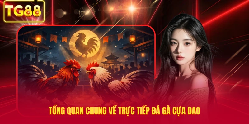 Tổng quan chung về trực tiếp đá gà cựa dao
