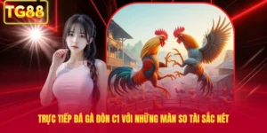 Trực Tiếp Đá Gà Đòn C1 Với Những Màn So Tài Sắc Nét